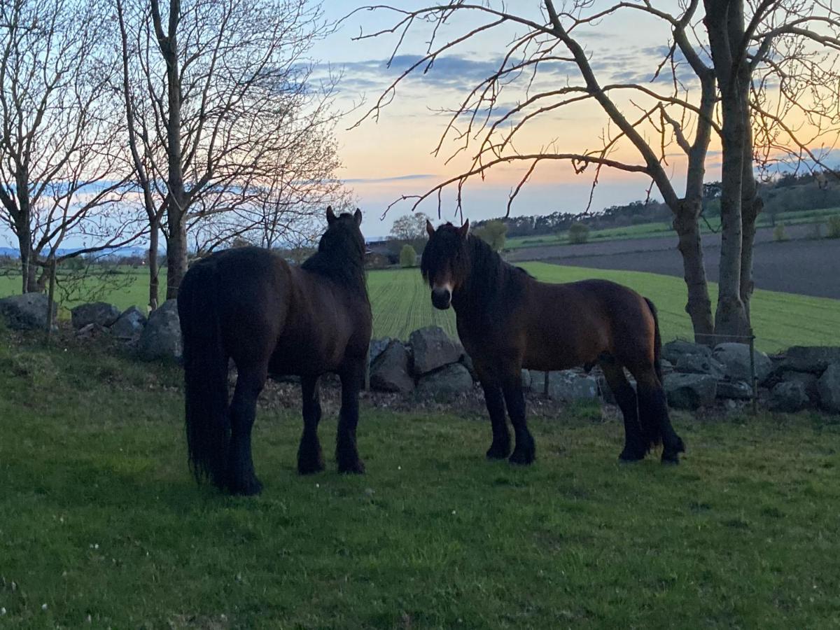 Fin Laegenhet Pa Bjaere Med Naera Till Natur Och Noeje Båstad Exterior foto